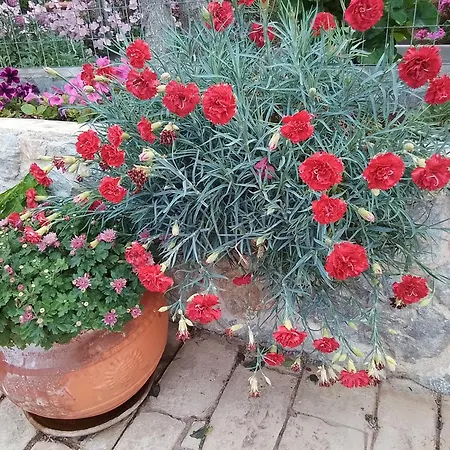 Sevasti Апартаменты Emborios