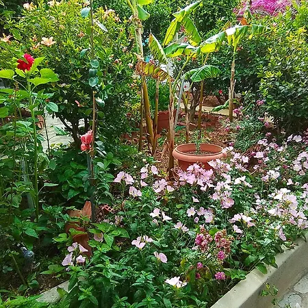 Apartmán Sevasti