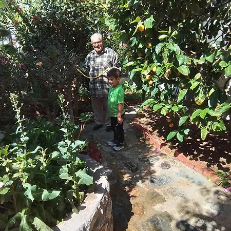 Апартаменты Sevasti Emborios