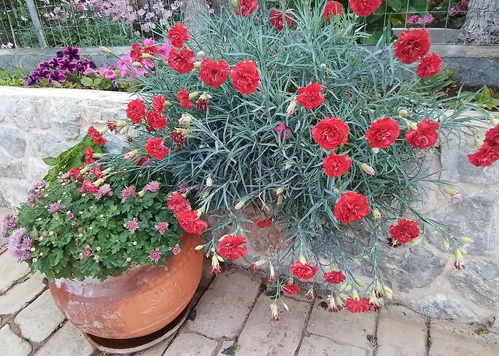 Sevasti 公寓 Emborios