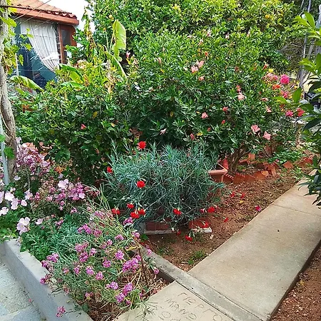 Apartment Sevasti *