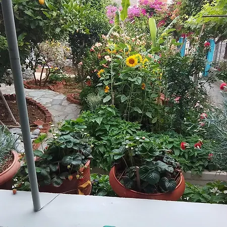 Apartment Sevasti *